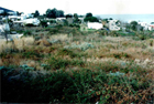 Terreni Stromboli - Isola di Stromboli vendesi 4 lotti di terreno a corpo, uno sotto la Chiesa