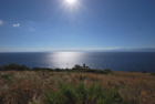 Tenuta agricola - Vulcano, Gelso