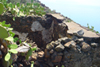 Rudere vista mare