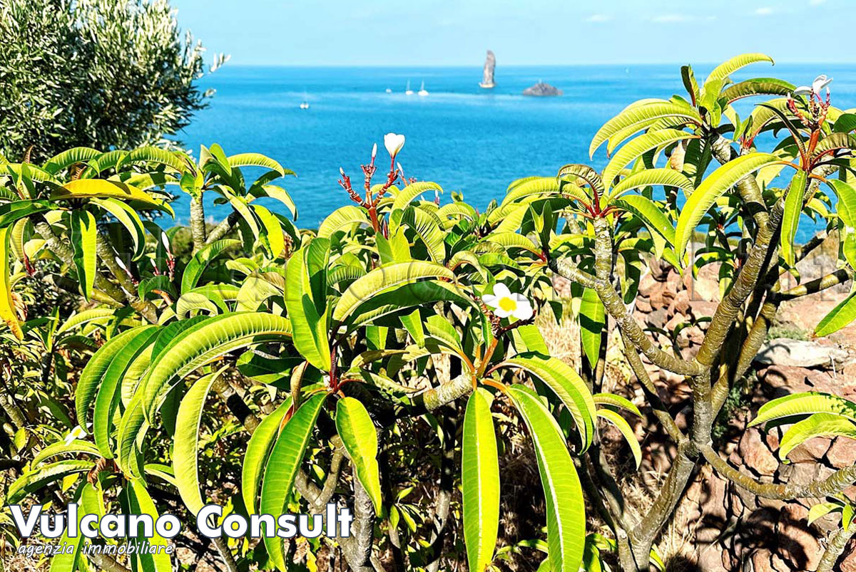 Casetta tipica eoliana Siccagni Filicudi