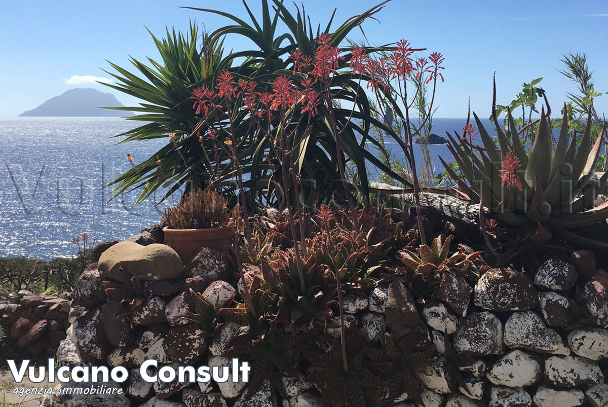 Casetta tipica eoliana Siccagni Filicudi