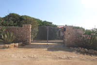 Ingresso