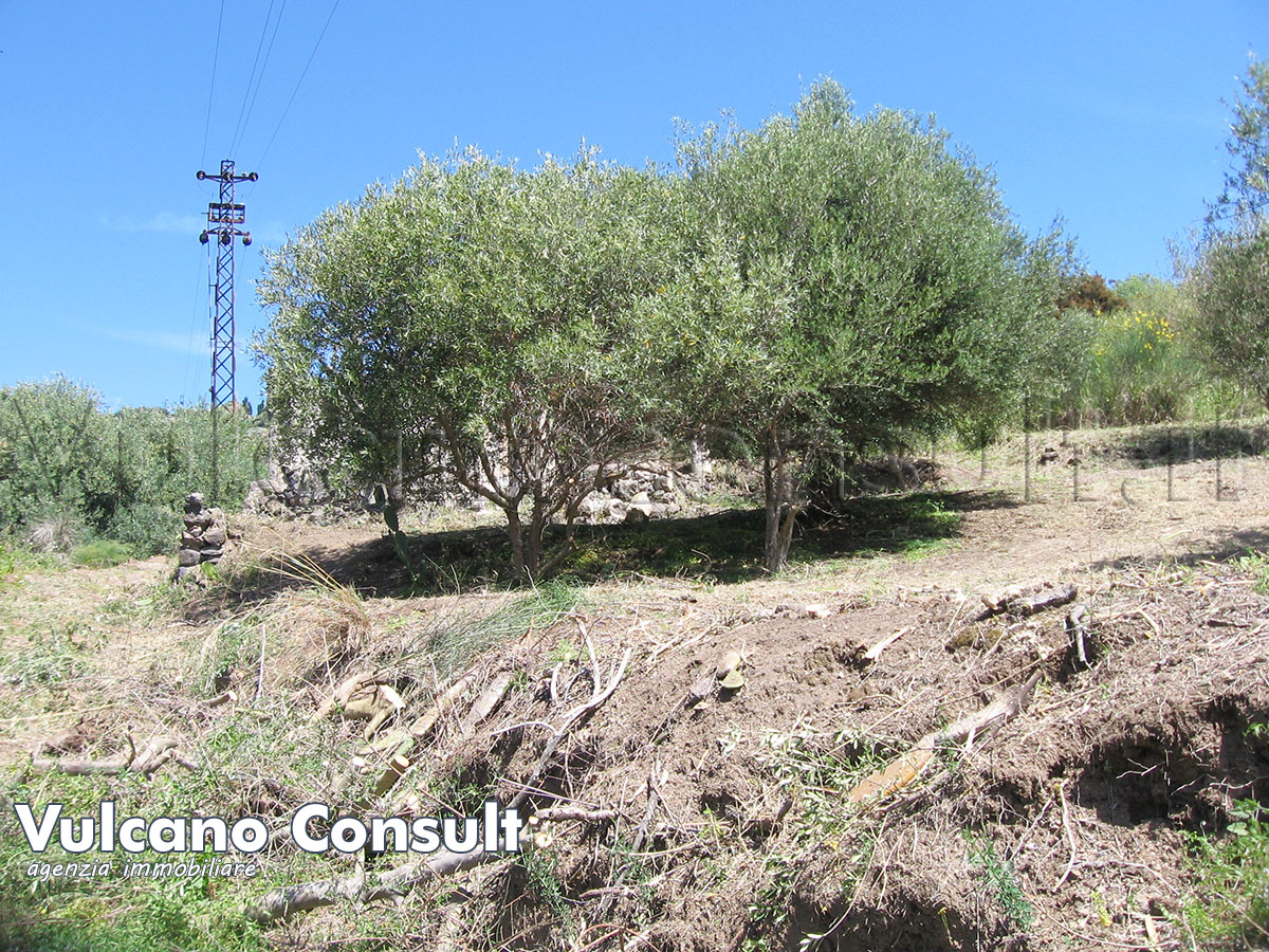 Il terreno