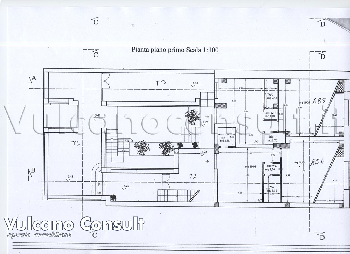 Planimetria primo piano