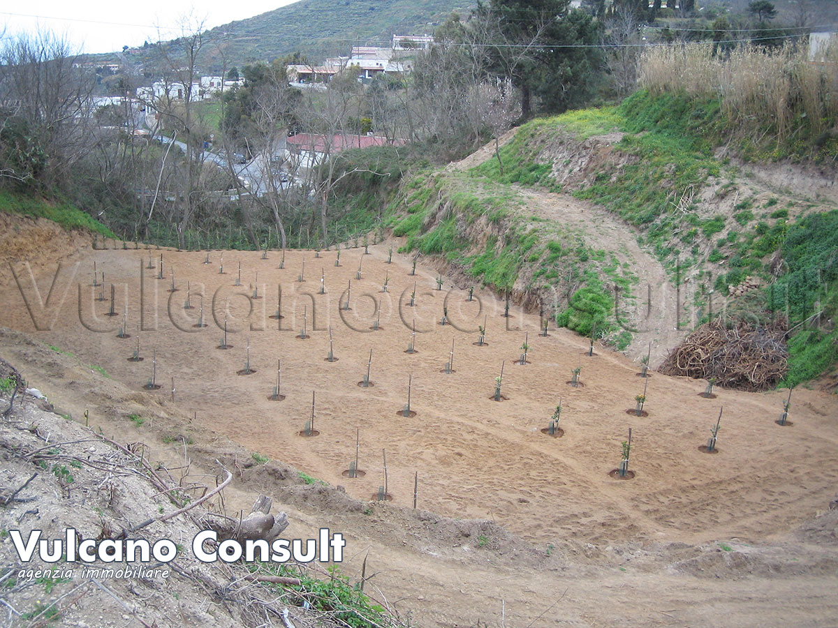 Il terreno