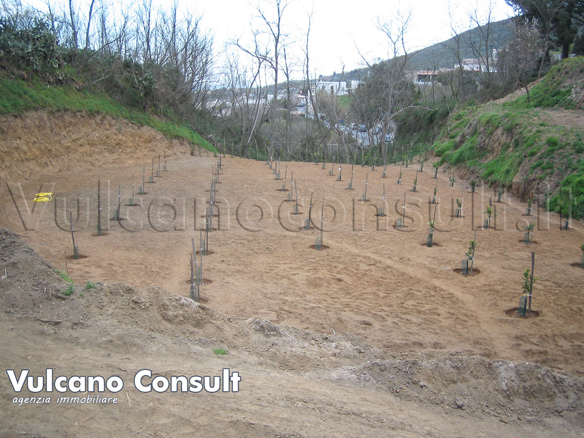 Il terreno