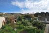 Il giardino
