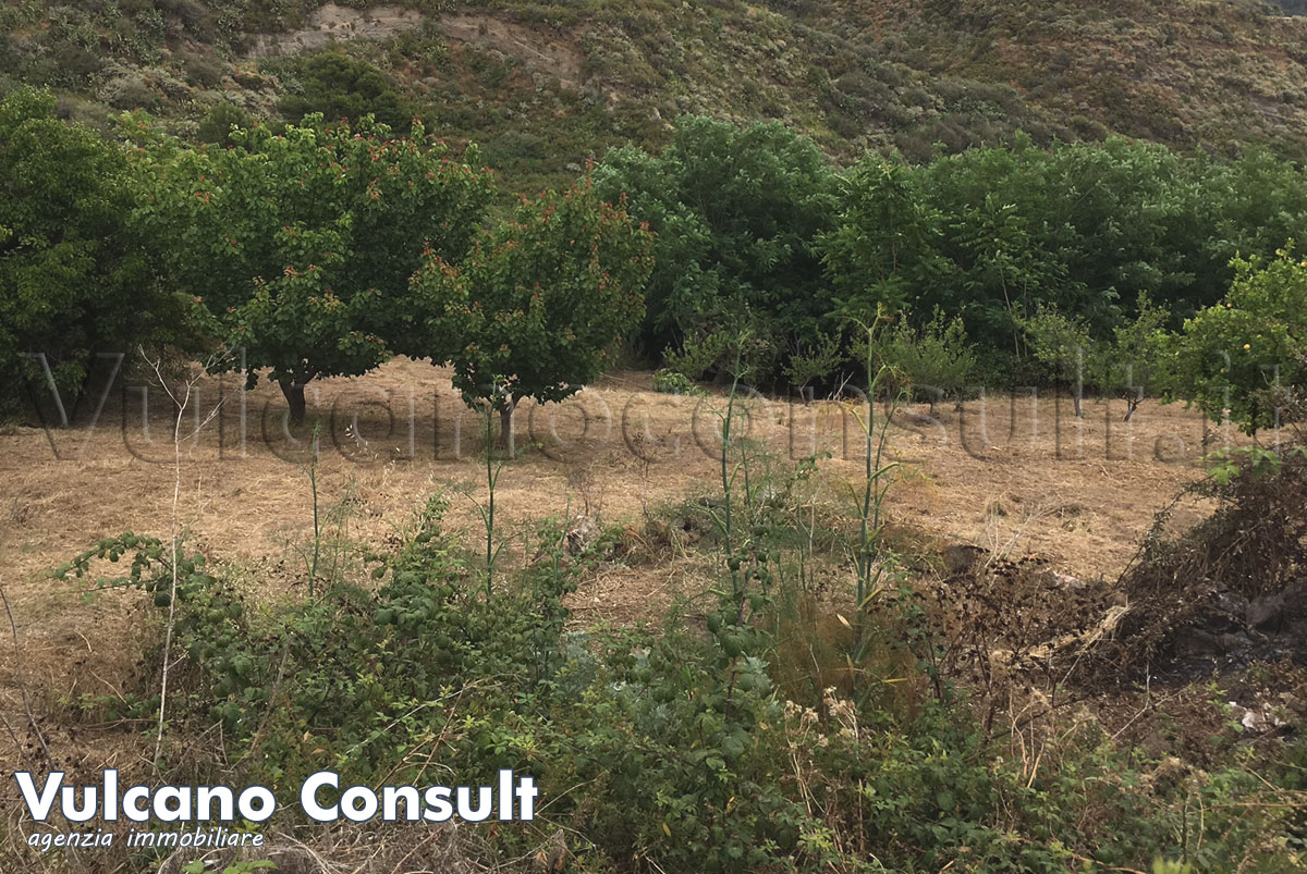 Il terreno