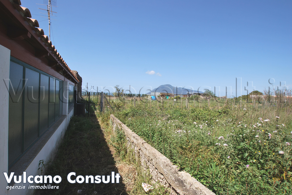 Ingresso