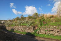 La strada