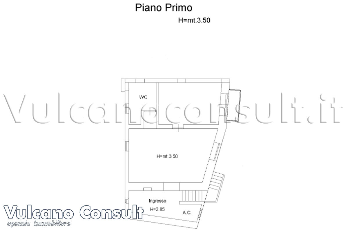 Planimetria primo piano