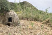 Forno