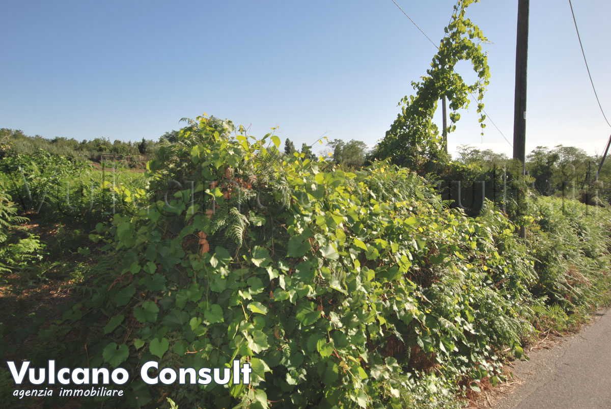 Terreno Castellaro Lipari