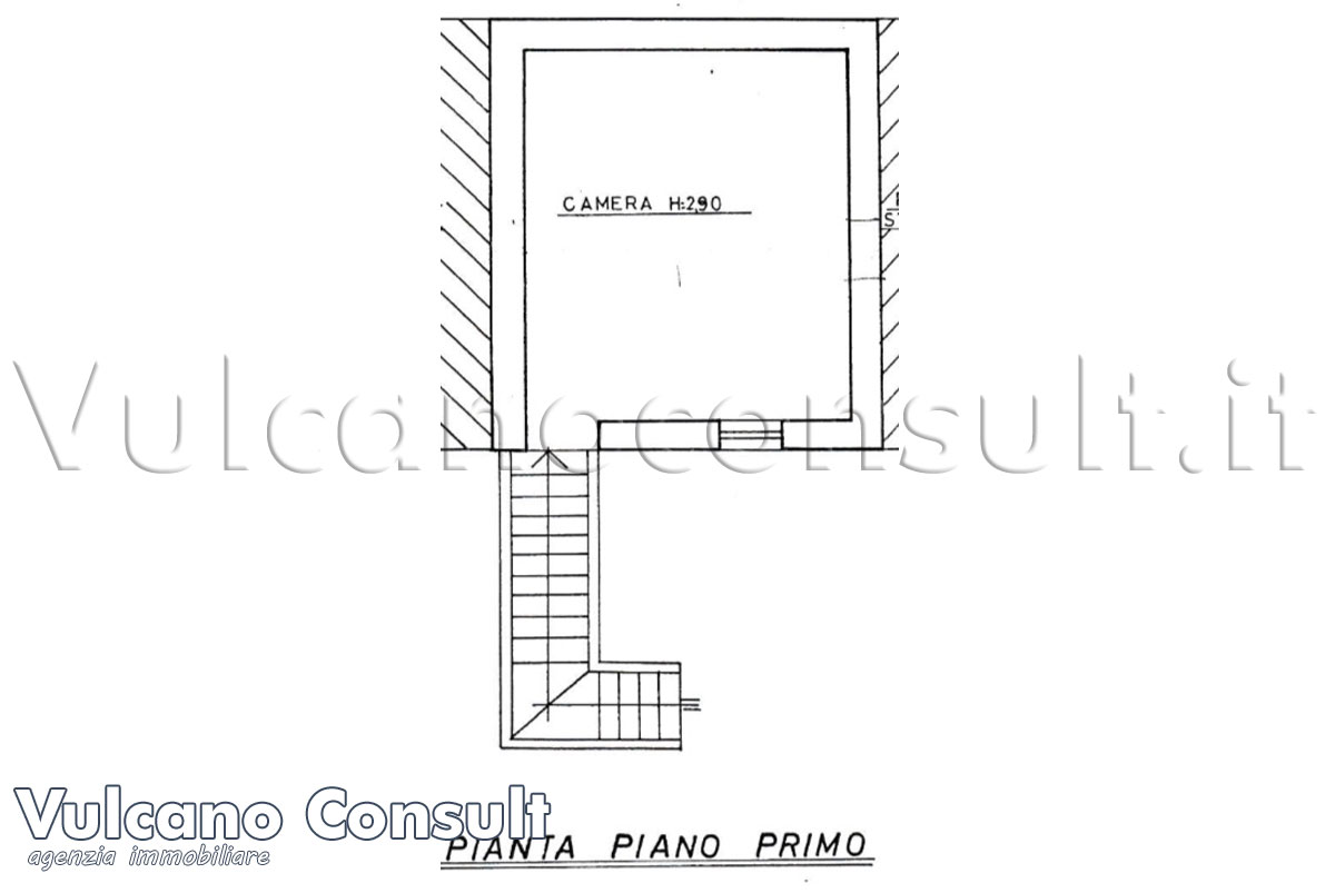 Planimetria primo piano