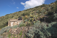Il rudere