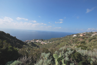 Vista mare