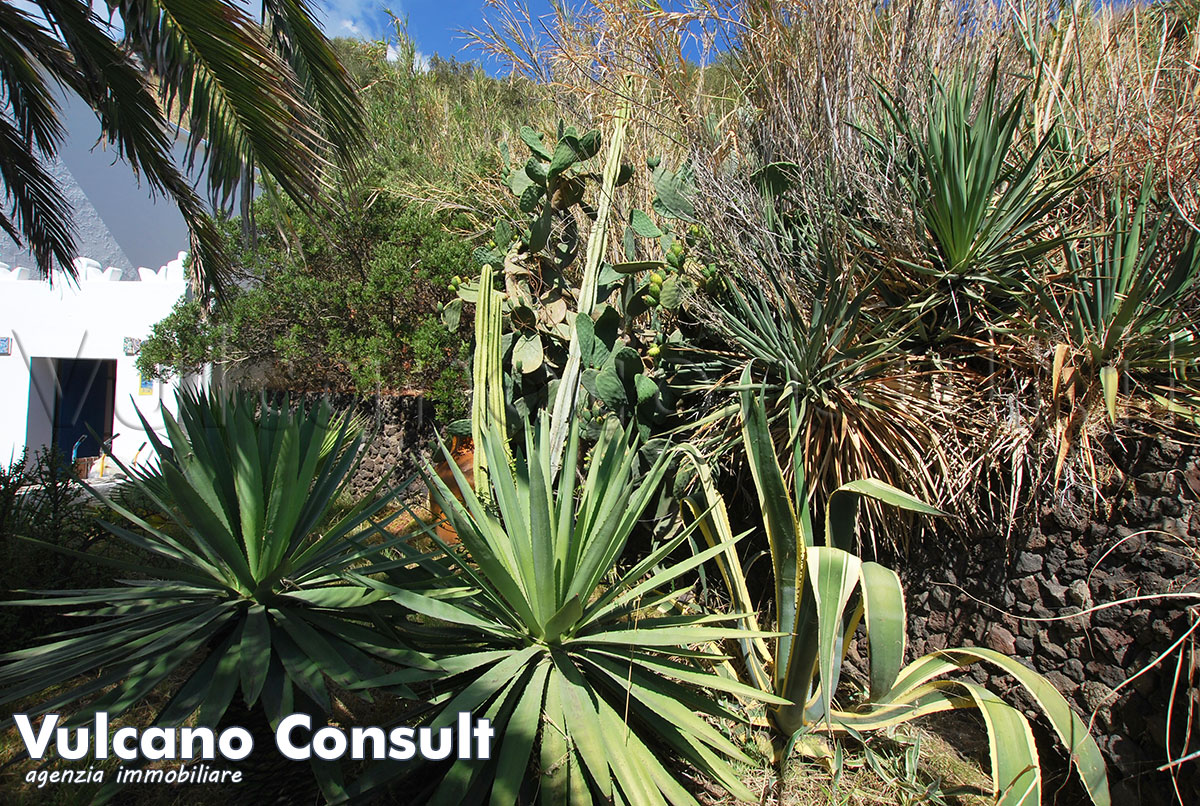 Casa Scari Stromboli