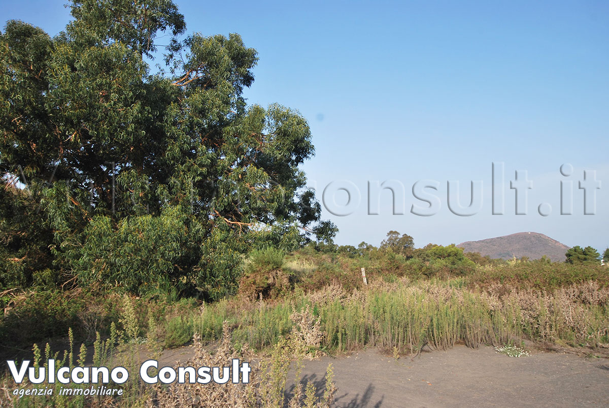 Terreno agricolo Vulcano Piano 1 Vulcano