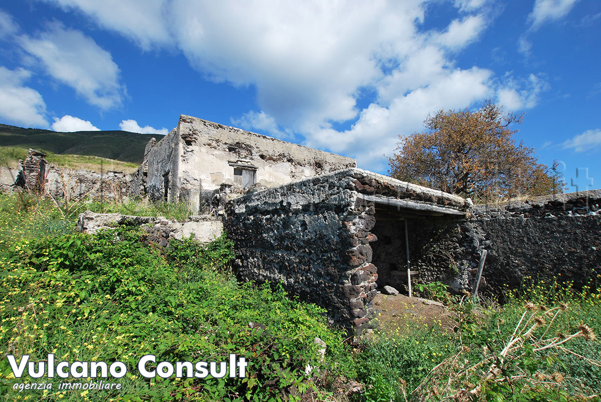 Farm house - Vulcano, Gelso