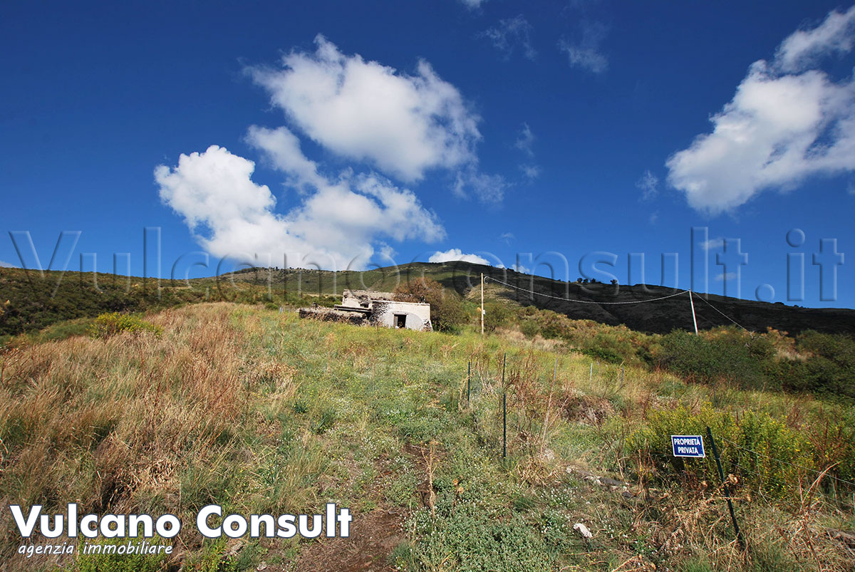 La tenuta