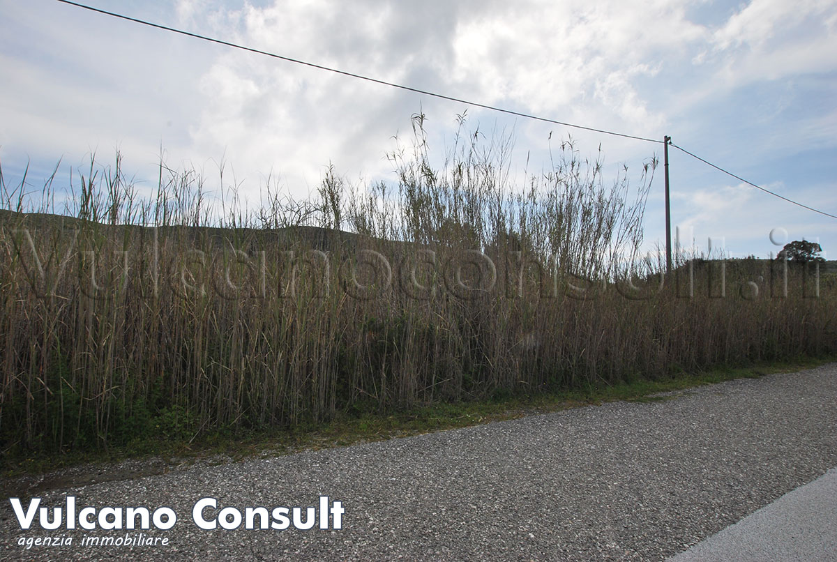 La strada