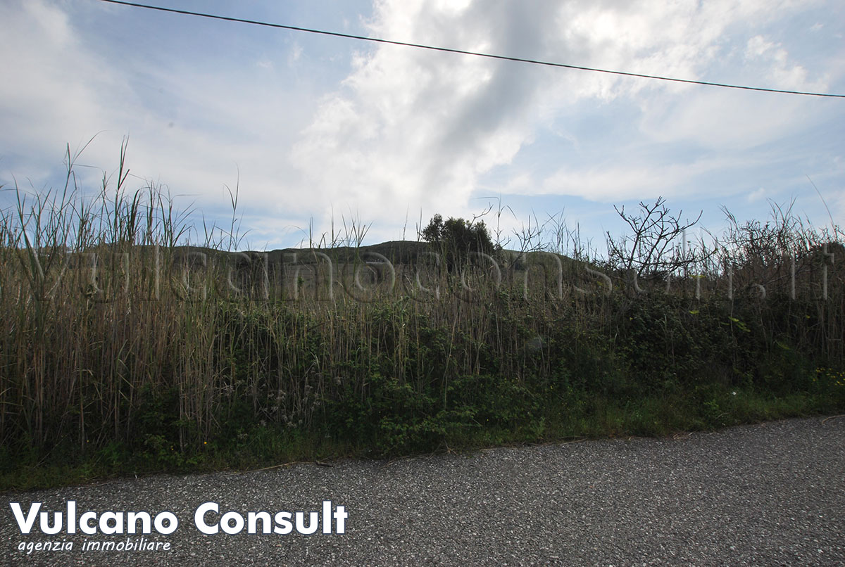 La strada